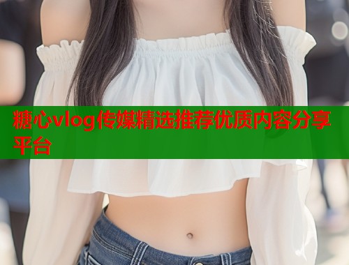 糖心vlog传媒精选推荐优质内容分享平台  第2张