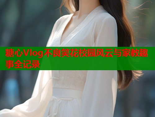 糖心Vlog不良笑花校园风云与家教趣事全记录  第2张