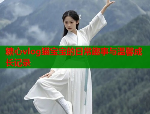 糖心vlog猫宝宝的日常趣事与温馨成长记录  第1张